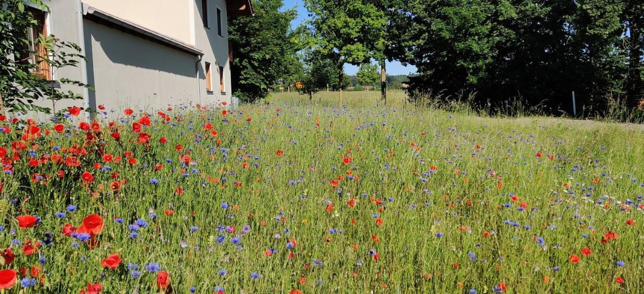 Ferienwohnung Ponlach Tittmoning Exterior foto